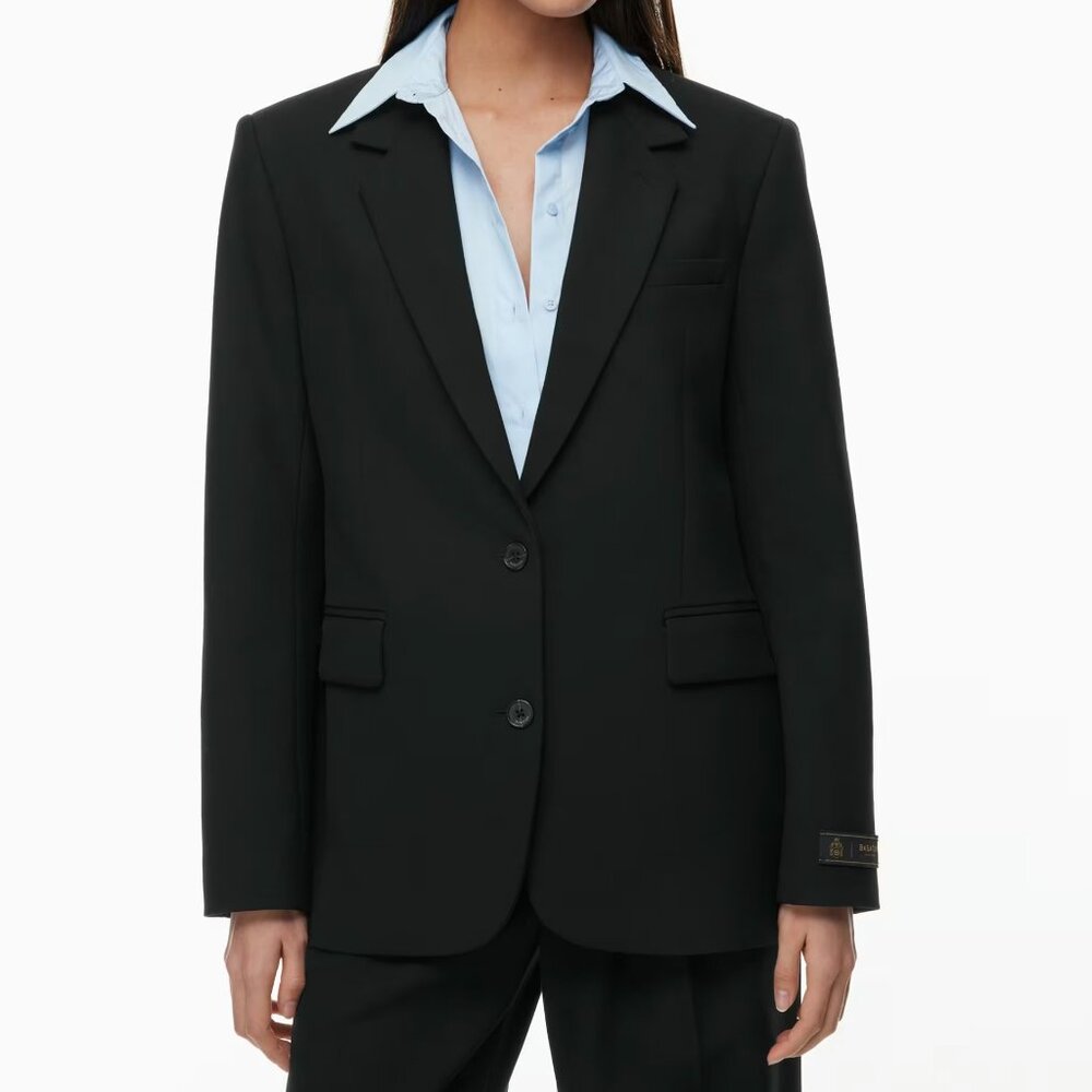 Aritzia Babaton Agency Blazer